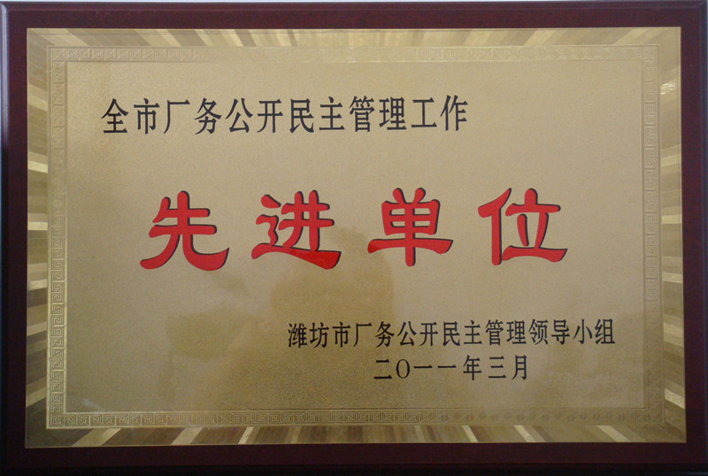 廠務(wù)公開先進單位獎牌